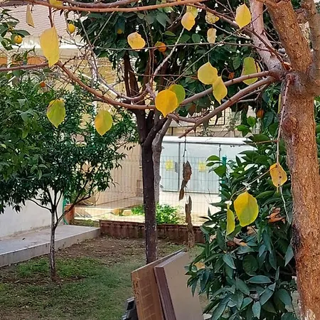 Lemon Villa *