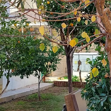 Villa Lemon *