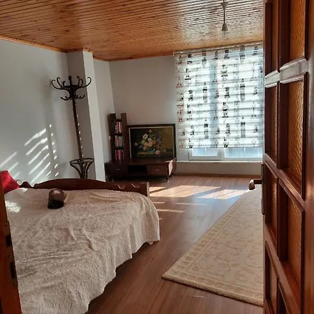 Villa Lemon *