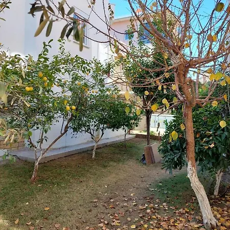 Lemon Villa